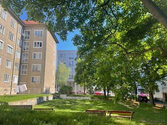 Ponúkam na prenájom veľkorysý 2-izbový byt s rozlohou 67 m² 