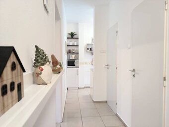 Assenzio Property ponúka na prenájom 1-izbový byt na Medenej