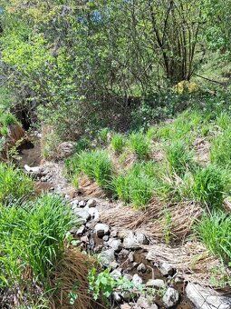 Lokalita Zemiansky Vrbovok spolu 1,5 ha, KNC 1560/2 TTP 1023