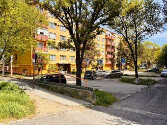 Prenajmem priestranný, slnečný, jednoizbový a zariadený byt 