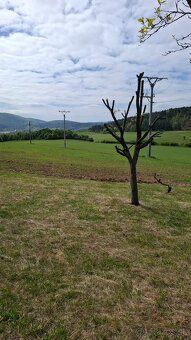 Predám pozemok(ornú pôdu)v katastrálnom území Lubina,okr.Nov