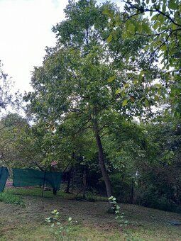 Predám pozemok 1084 m² – pokoj, súkromie a príroda na dosah
