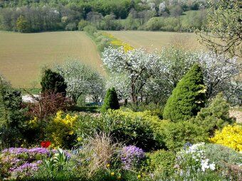 Ponúkame na predaj záhradu v dobrej kondícii, predovšetkým s