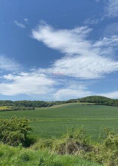 RE/MAX ponúka na predaj vidiecky dom - Ivanovce Starší dom n