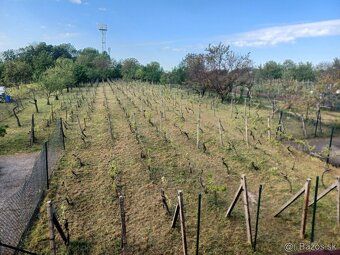 Sprostredkujeme predaj poschodovej chaty s vinicou v obci Tr