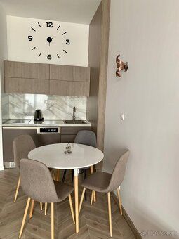 Ponúkam na predaj veľmi pekný a útulný 1-izbový apartmán v A