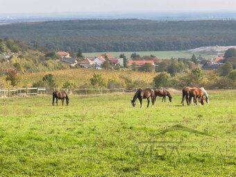 Realitná kancelária VIDA REAL ponúka na predaj pozemok regis