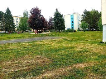V peknej lokalite plnej zelene ponúkame na predaj 1 izbový b