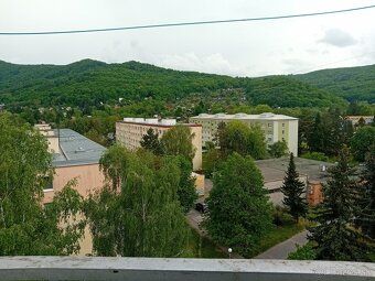 V peknej lokalite plnej zelene ponúkame na predaj 1 izbový b