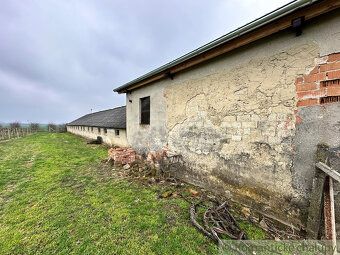 Tento starostlivo obrábaný vinohrad sa nachádza iba kúsok na
