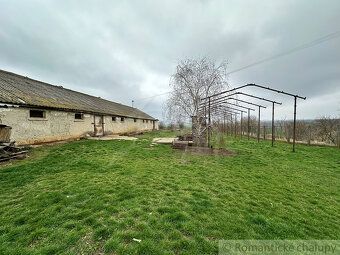 Tento starostlivo obrábaný vinohrad sa nachádza iba kúsok na