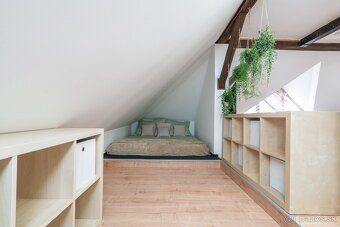 Ponúkame Vám na prenájom priestranný podkrovný byt typu loft