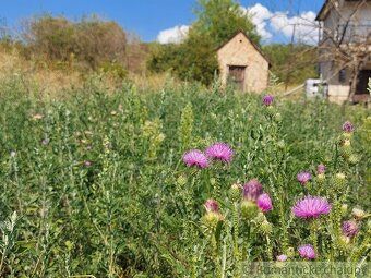 Pôvodná pivnička sa nachádza na rovinatom pozemku s rozlohou