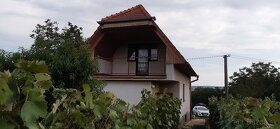 Predam vinicnu chatu s klembovou pivnicou, suterenom (prešov