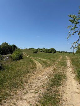 SLNEČNÝ POZEMOK 6 242 m² – PRAŠNÍK | INVESTÍCIA, FARMA, VČEL