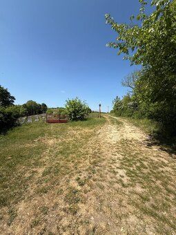 SLNEČNÝ POZEMOK 6 242 m² – PRAŠNÍK | INVESTÍCIA, FARMA, VČEL
