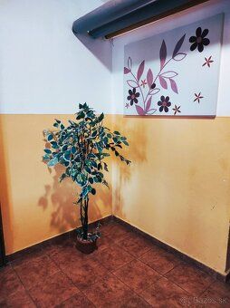 NA PRENÁJOM | 2-izbový byt s loggiou | Adlerova ulica, Košic