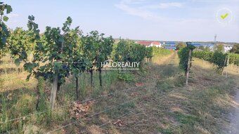 Realitná kancelária HALO reality a Ing. Michal Rašner, konta
