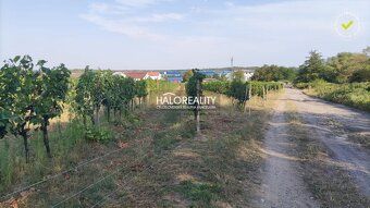 Realitná kancelária HALO reality a Ing. Michal Rašner, konta