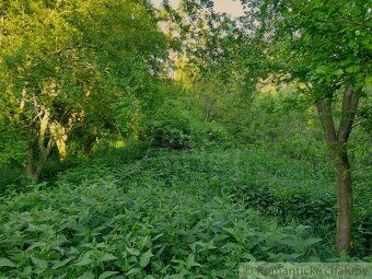 Pozemok v rozlohe vyše 400 m2 sa nachádza na okraji malinkej