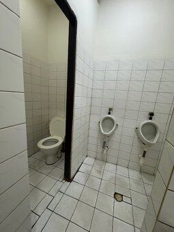 prenájom nehnuteľnosti vhodnej najmä na podnikateľské účely.