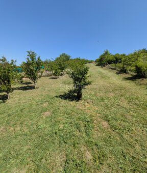 Skyline reality ponúka exkluzívne na predaj zaujímavý viničn