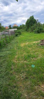 Ponúkame na predaj starší rodinný dom s väčším pozemkom v Bi