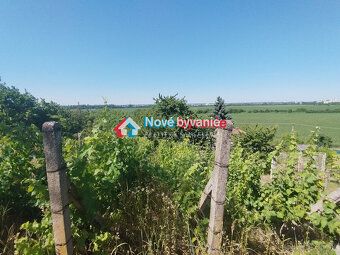 Typ: Vinice Obec: Levice
Pozemok s výhľadom, ktorý si zamilu