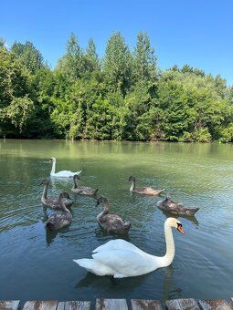 Ponúkame na predaj pozemok s chatou priamo na brehu Malého D