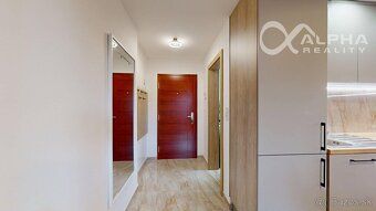 Alphareality.sk ponúka na prenájom garsónku s vlastným parko