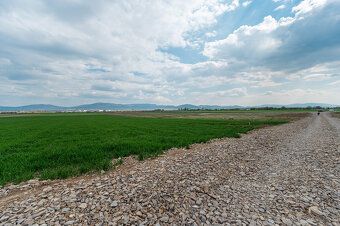Typ: Pozemok pre rodinné domy Obec: Haniska
Erik Sabol z Rea