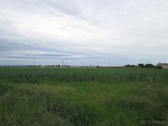 predam v kosutoch stavebny pozemok 11 arov s prislusenstvom 