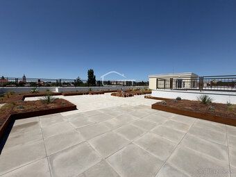 Typ: 1-izbový byt Ulica: Parná Obec: Komárno
Hľadáte výnimoč