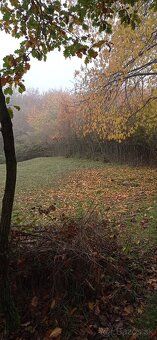 Ponukam na predal pozemky v lesnom prostredi Stiavnickych ho