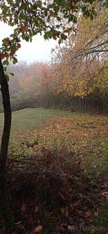 Ponukam na predal pozemky v lesnom prostredi Stiavnickych ho