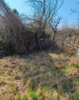 Ponúkame vám na predaj záhradu, BA III, Žabí majer.
Záhrada 