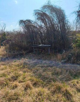 Ponúkame vám na predaj záhradu, BA III, Žabí majer.
Záhrada 