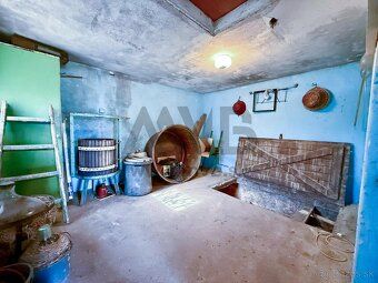 Vinná pivnica s vinicou na predaj pri Hurbanove, ideálna pre