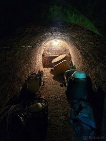 Predám viničný domček s vinicou a pozemkom v Kamennom Moste 