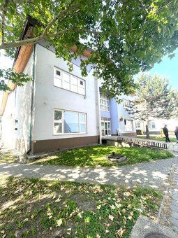 PINK reality Vám so súhlasom majiteľa ponúka na prenájom kan