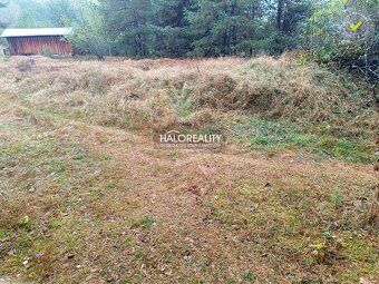 Realitná kancelária HALO reality a Štefan Jurčišin, kontakt:
