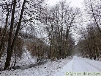 V exkluzívnom zastúpení ponúkame súvislý lesný pozemok o vým
