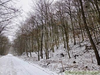 V exkluzívnom zastúpení ponúkame súvislý lesný pozemok o vým