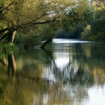 Ponúkam na predaj jedinečné pozemky /od 509 do 647 m2/ s vla