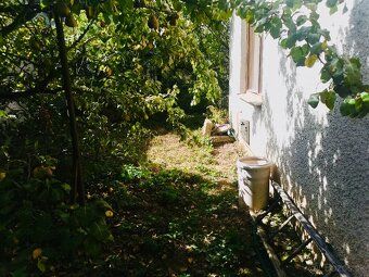 🏡 EXKLUZÍVNE NA PREDAJ | 2 domy na jednom pozemku – Sobrance