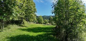 Prodám pozemek 3057 m2 v obci Dlhá nad Kysucou, okres Čadca 