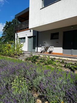 Dám do prenájmu 1 izbový otvorený byt o rozlohe 60m2. Byt je