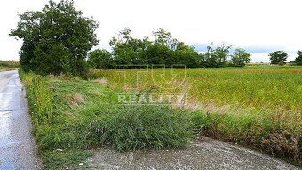 TUreality ponúkajú pozemok s výmerou 6000 m2. Pozemok má obd