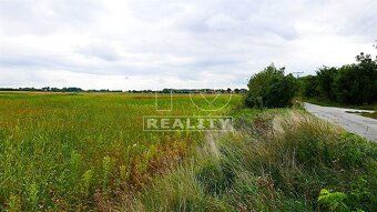 TUreality ponúkajú pozemok s výmerou 6000 m2. Pozemok má obd