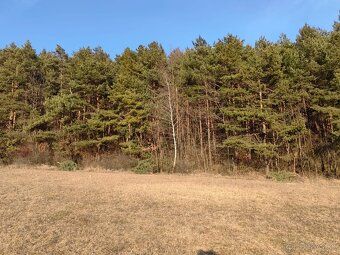 Mierne svahovitý pozemok registra „C“ ,rozmer 25x100m, možno